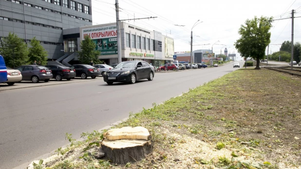 На проспекте Ленина срубили деревья.