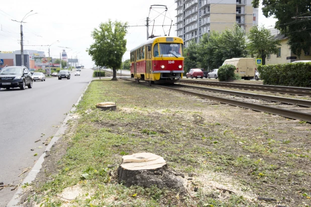 На проспекте Ленина срубили деревья.