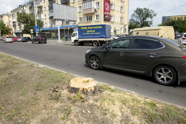 На проспекте Ленина срубили деревья.