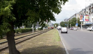 На проспекте Ленина срубили деревья.