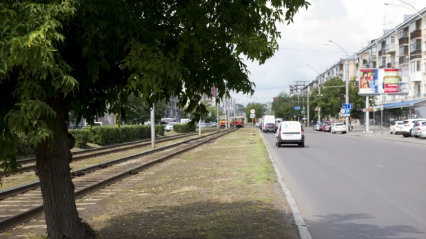 На проспекте Ленина срубили деревья.