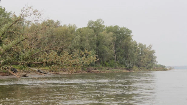 Водоем.