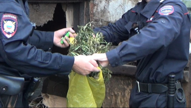 Полицейские изъяли марихуану "для кроликов"