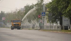 Полив деревьев. Благоустройство.