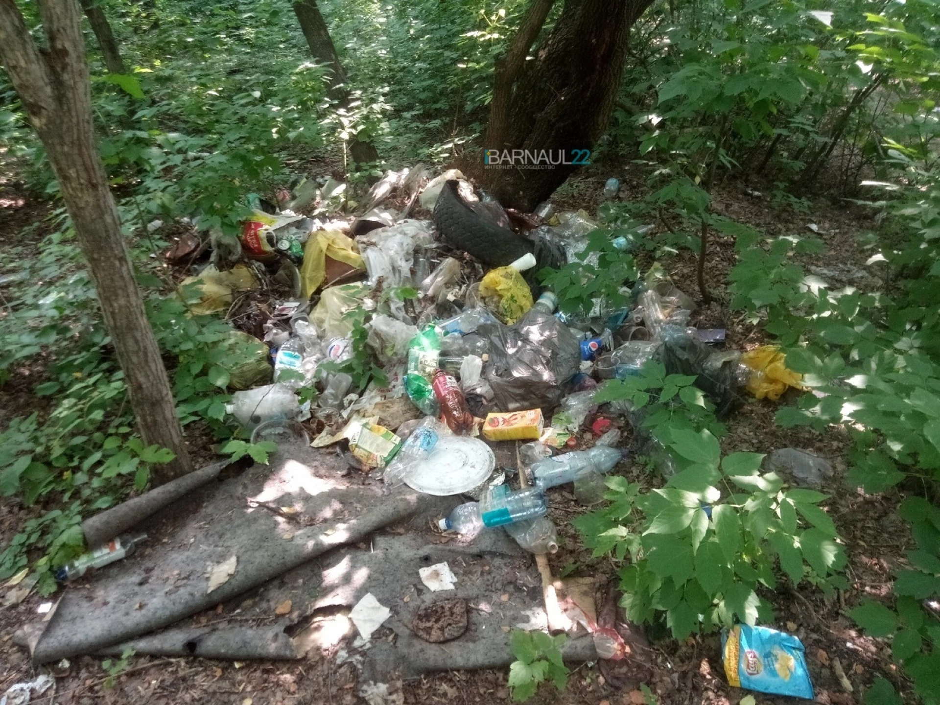 Городская свалка Барнаул. Поляна с мусором. Свалки Барнаула фото.