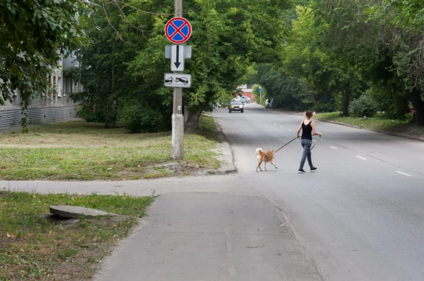 Тротуары в Барнауле.