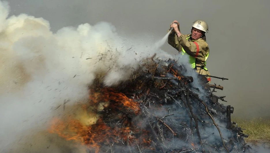 В Алтайском крае ленточные боры охраняют от пожаров арендаторы лесных участков.