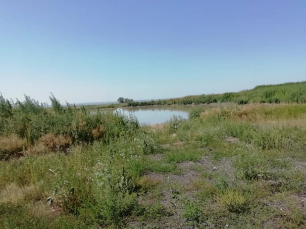 Полигон жидких отходов и свалка в Усть-Калманке.