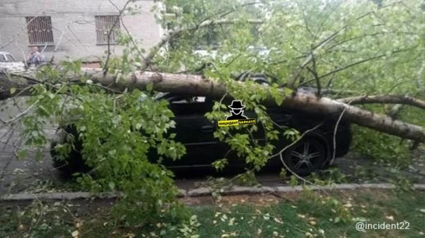 В Барнауле на автомобиль рухнуло дерево.