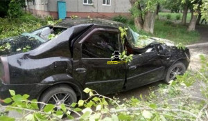 В Барнауле на автомобиль рухнуло дерево.