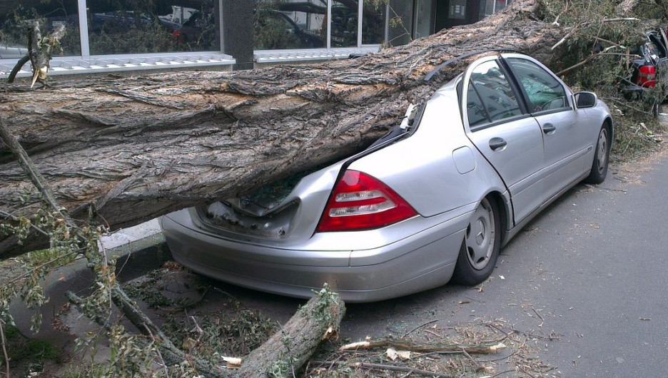 Дерево упало на автомобиль.