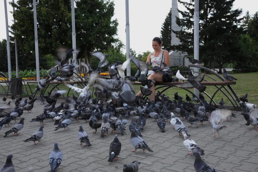 Вид города Новоалтайска.