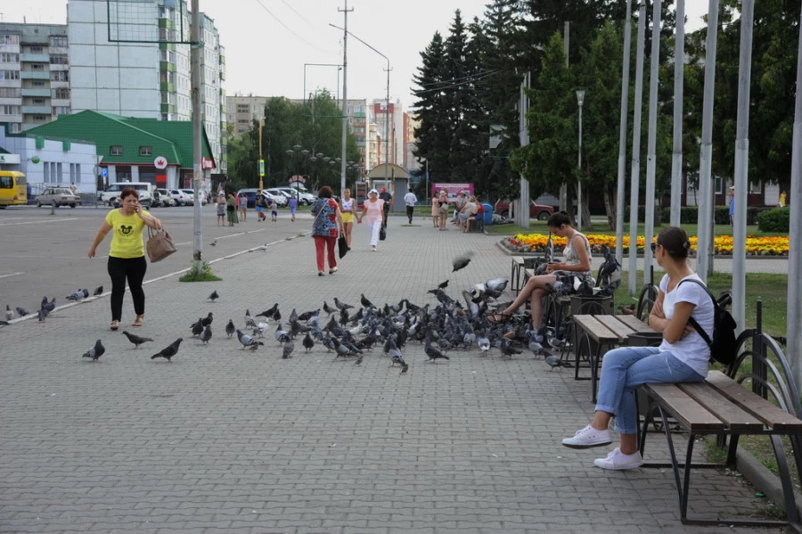 Вид города Новоалтайска.