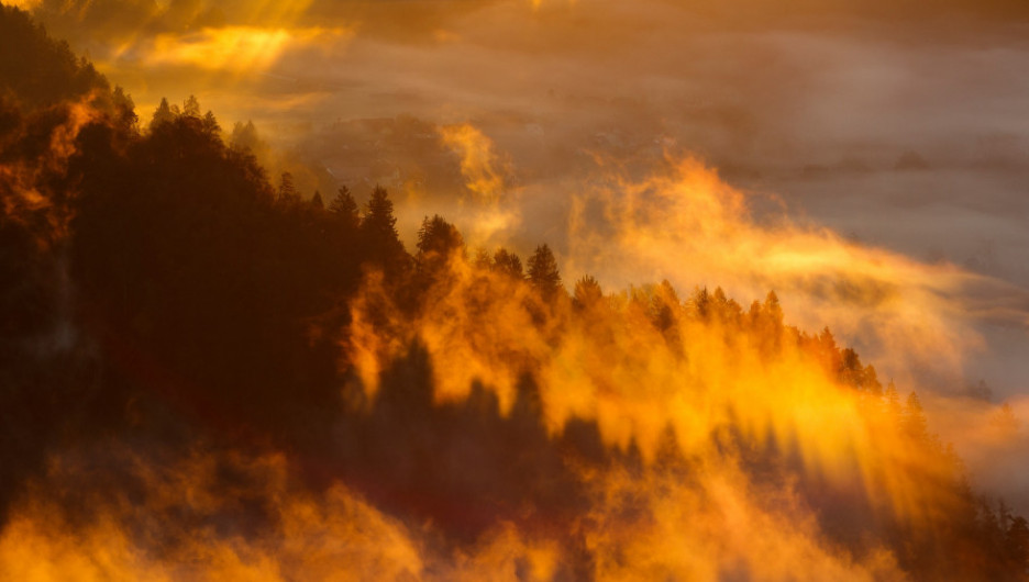 Почти 400 населенных пунктов Красноярского края в дыму от лесных пожаров