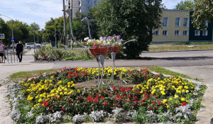 В Барнауле на клумбе поставили металлических страусов.