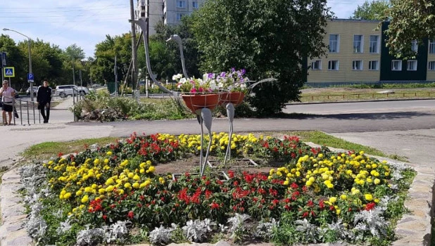 В Барнауле на клумбе поставили металлических страусов.