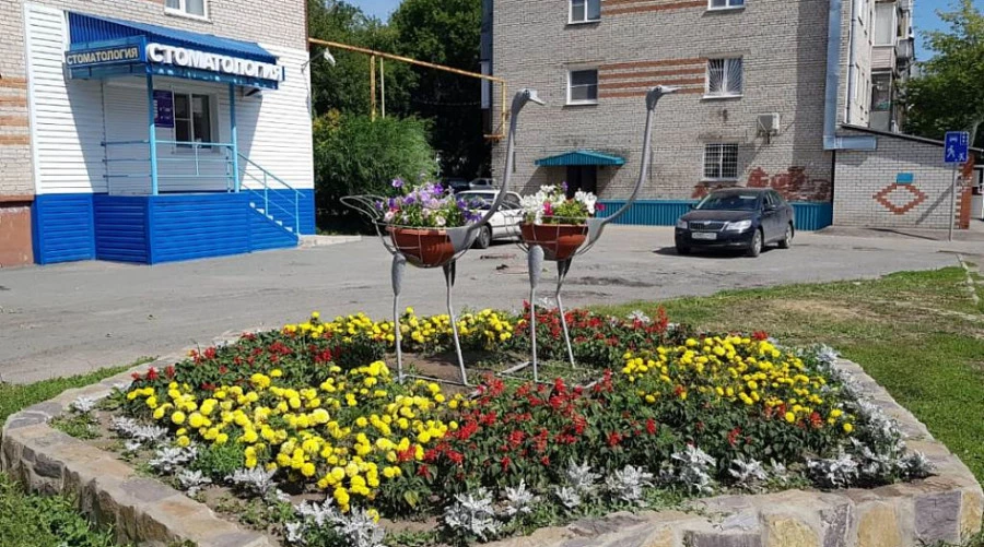 В Барнауле на клумбе поставили металлических страусов. В Барнауле на клумбе поставили металлических страусов.