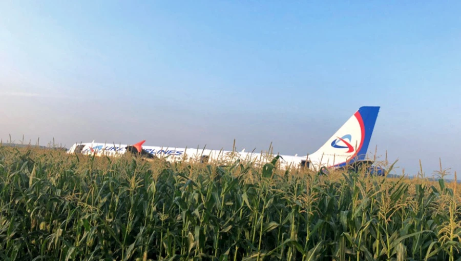 Самолет &quot;Уральских авиалиний&quot; А-321 совершил посадку в кукурузном поле