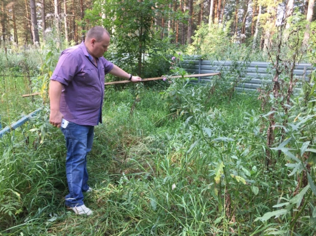 Кладбище. Деревня Покровка Первомайского района Алтайского края. 