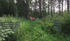 Кладбище. Деревня Покровка Первомайского района Алтайского края. 