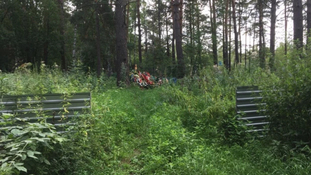 Кладбище. Деревня Покровка Первомайского района Алтайского края. 