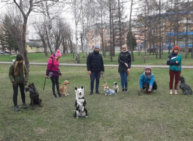 Дрессировка собак в Барнауле