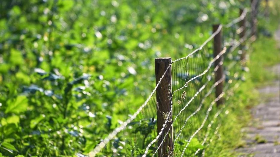 Граница, забор.