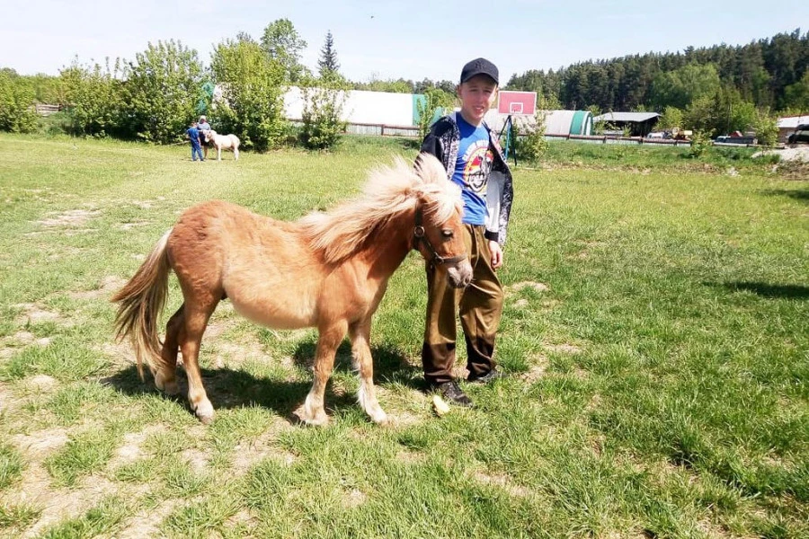 База отдыха «Русский Дом».
