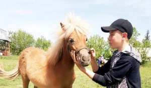 База отдыха «Русский Дом».
