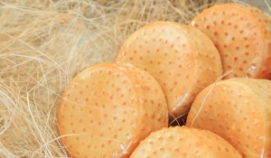 На фестивале «Дни Алтайского сыра» будет вкусно, весело и познавательно.