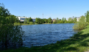 Озеро Ковалевское в Бийске.