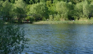 Озеро Ковалевское в Бийске.