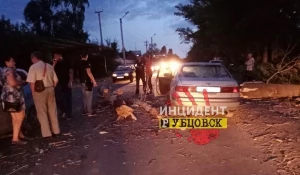 Ветер обрушил дерево, которое "устроило" ДТП на дороге в Рубцовске. 31 августа 2019 года.