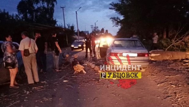 Ветер обрушил дерево, которое "устроило" ДТП на дороге в Рубцовске. 31 августа 2019 года.