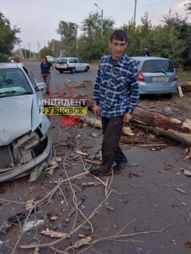 Ветер обрушил дерево, которое "устроило" ДТП на дороге в Рубцовске. 31 августа 2019 года.