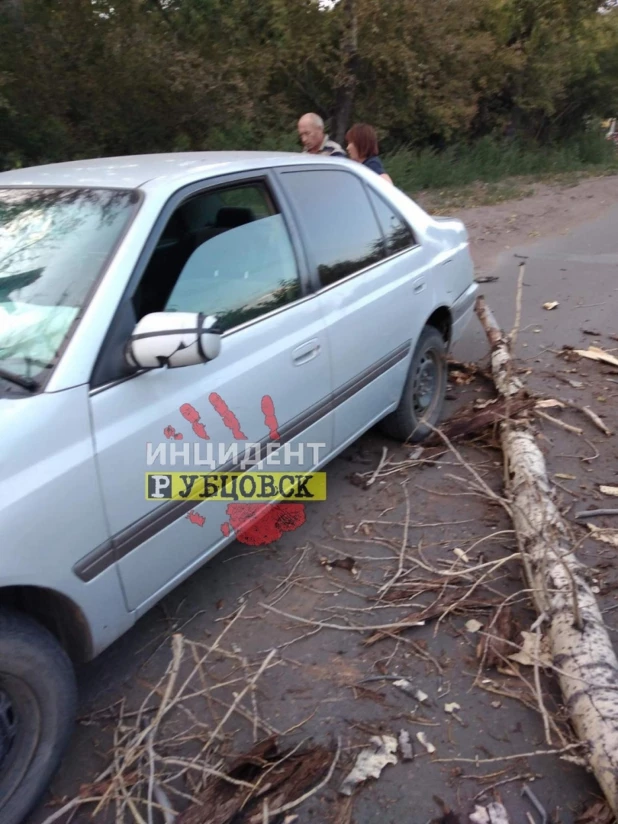 Ветер обрушил дерево, которое "устроило" ДТП на дороге в Рубцовске. 31 августа 2019 года.