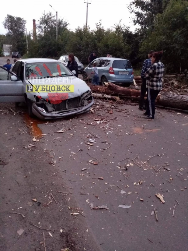 Ветер обрушил дерево, которое "устроило" ДТП на дороге в Рубцовске. 31 августа 2019 года.