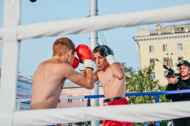 Турнир по боксу "Великий бой на великом Алтае - 2019".