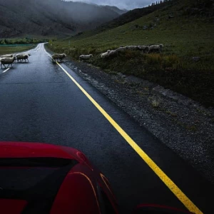 Горный Алтай в сентябре. 