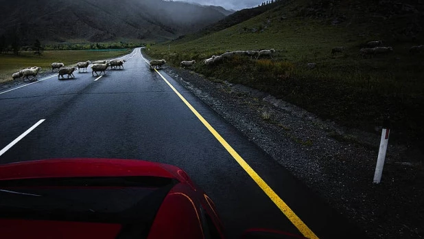 Горный Алтай в сентябре. 