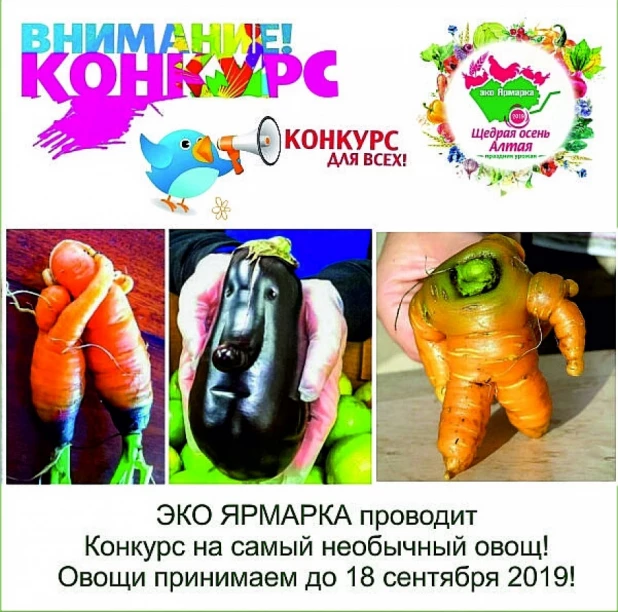 "ЩЕДРАЯ ОСЕНЬ АЛТАЯ 2019".