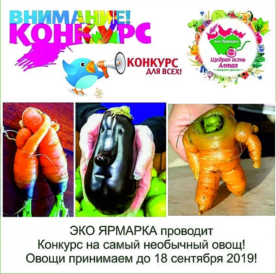 &quot;ЩЕДРАЯ ОСЕНЬ АЛТАЯ 2019&quot;.