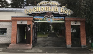 Санаторий "Сосновый бор" в Зудилово.
