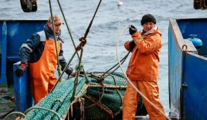 Рыбопромышленная отрасль в РФ.