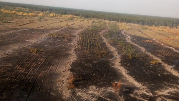 Пожары на территории Ключевского лесничества.