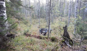 На Алтае погиб турист на снегоболотоходе.