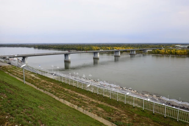 Депутаты БГД высаживают яблони в Нагорном парке. 