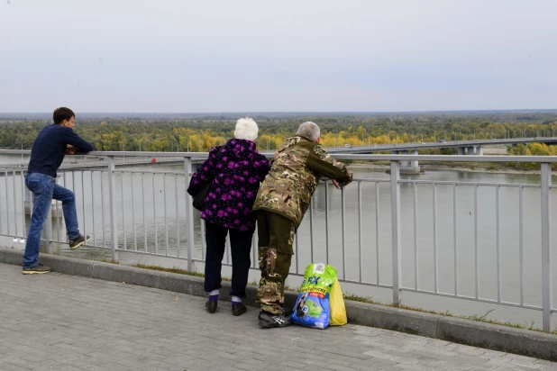 Депутаты БГД высаживают яблони в Нагорном парке. 