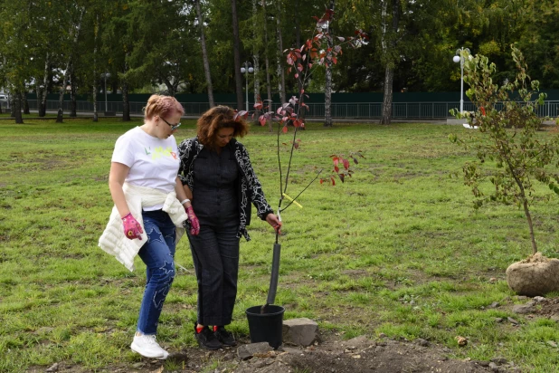 Депутаты БГД высаживают яблони в Нагорном парке. 