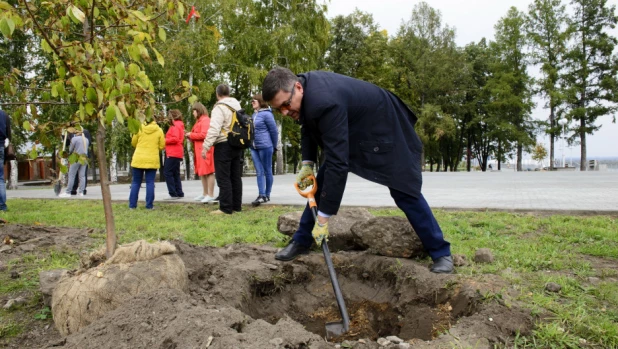 Депутаты БГД высаживают яблони в Нагорном парке. 